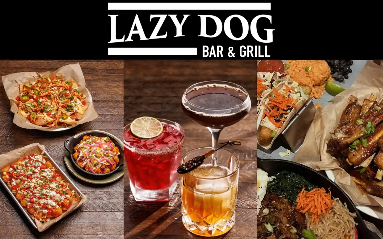 Lazy Dog Restaurant and Bar